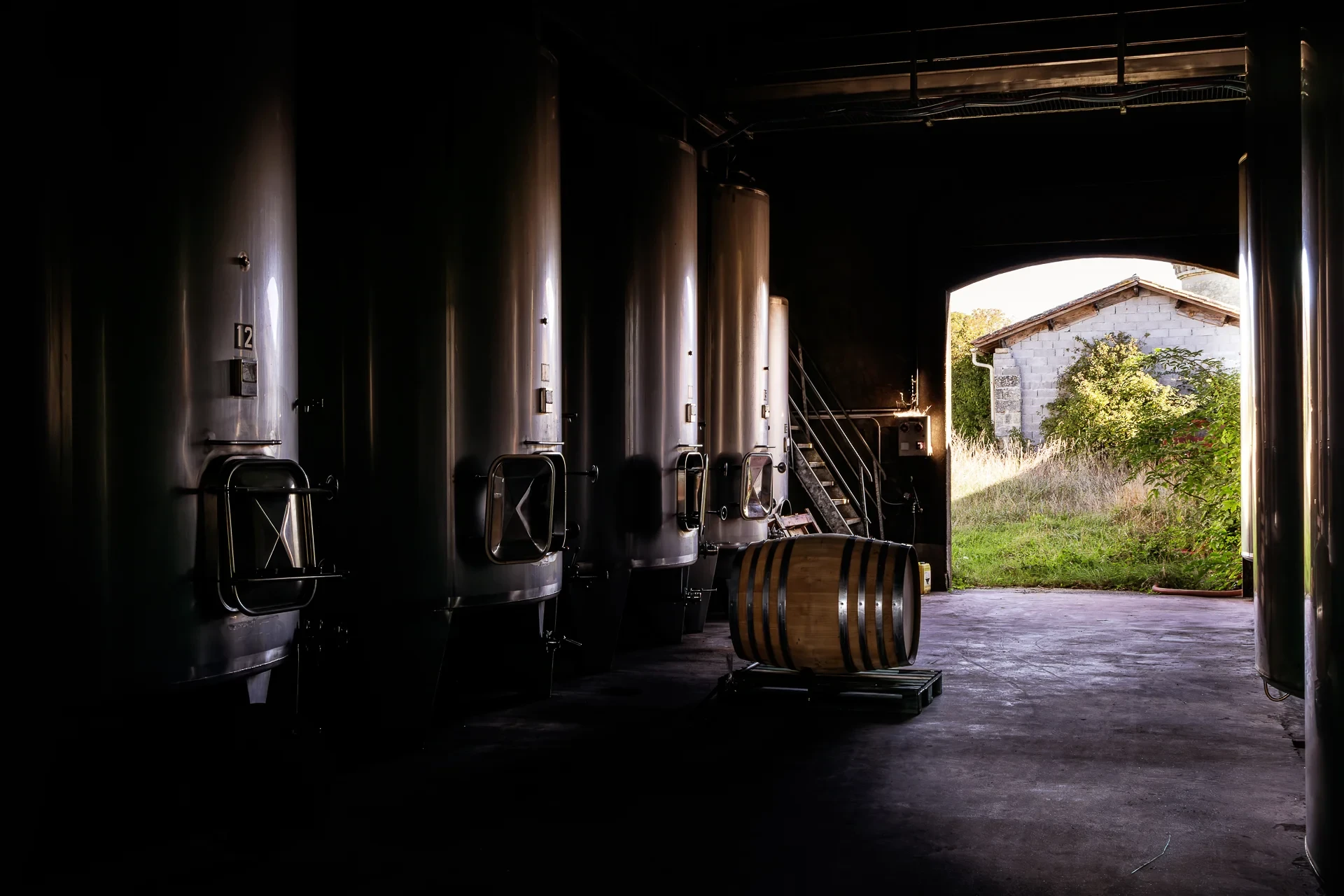 Cuves inox et barrique dans un chai